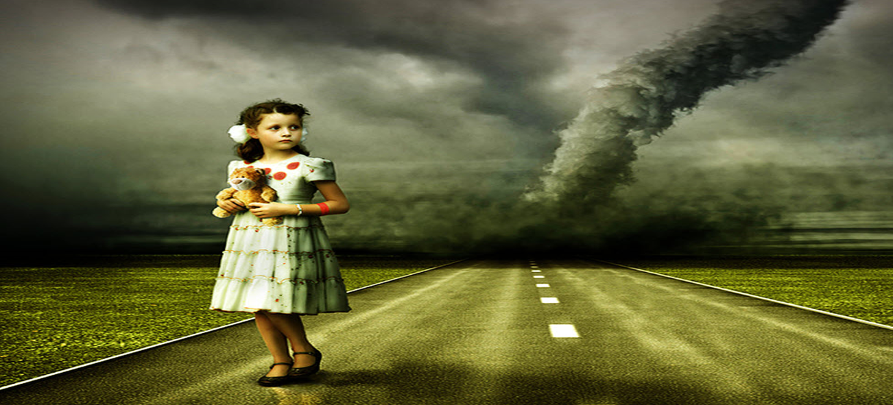 Storm Damage Adjuster in New Hope